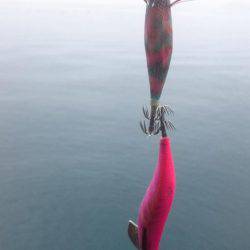 今シーズン初！