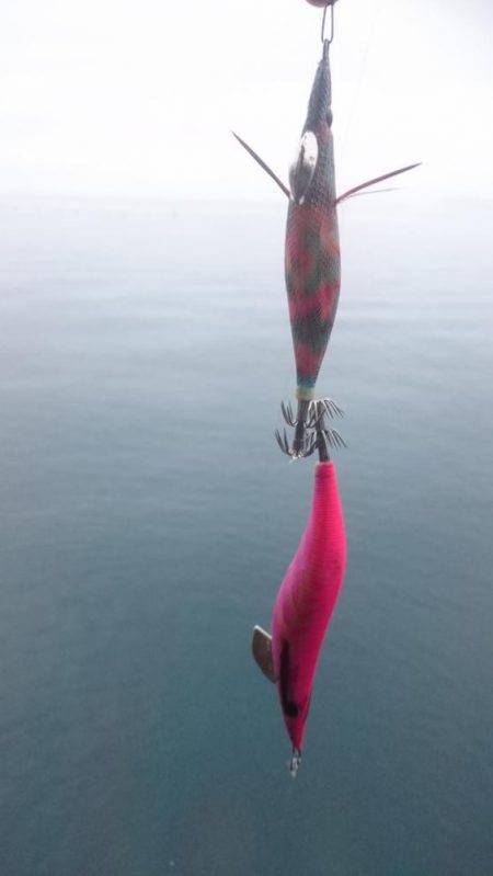 今シーズン初！