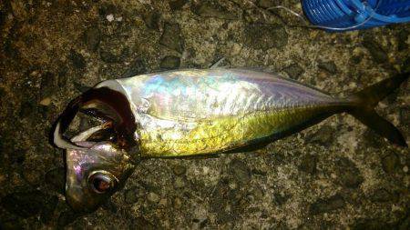 もう少しサイズがあれば