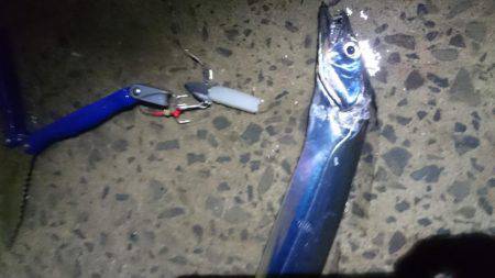 爆釣！小刀狩り