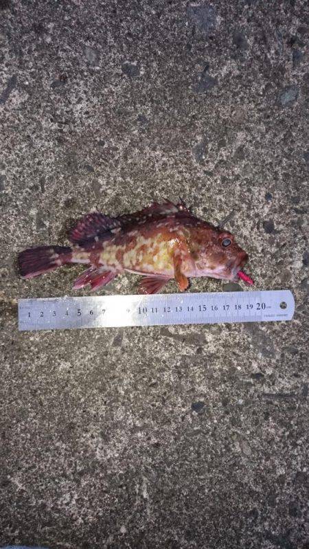 朝間づめ一時間勝負で。