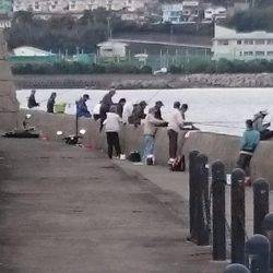 カマスを求めて