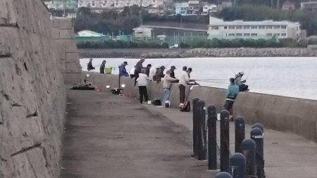 カマスを求めて