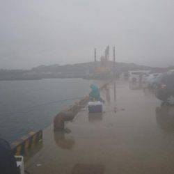 ショートバイト！