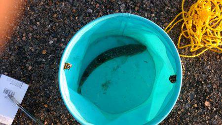 ライトショアジギング