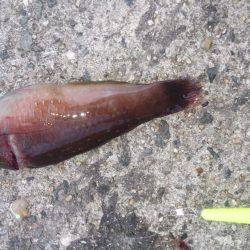 爆風でしかも寒い