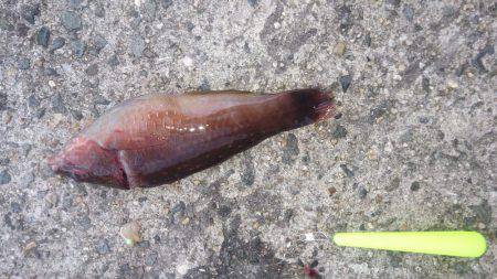 爆風でしかも寒い