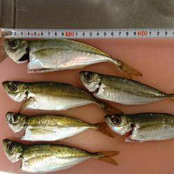 ボチボチのちサッパリ