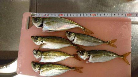 ボチボチのちサッパリ