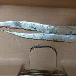 この時期の雨はツライ