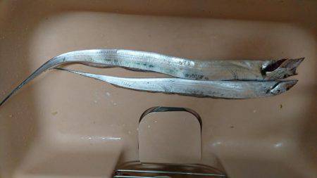 この時期の雨はツライ