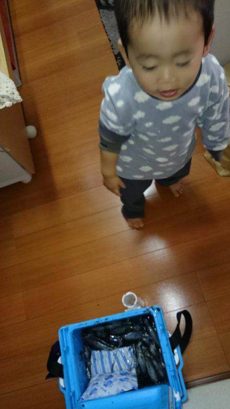 ヒイカ、ベイカ