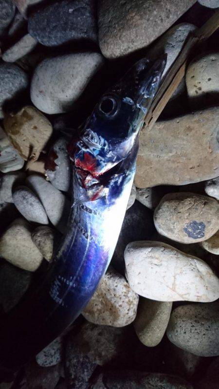 ランガン失敗…