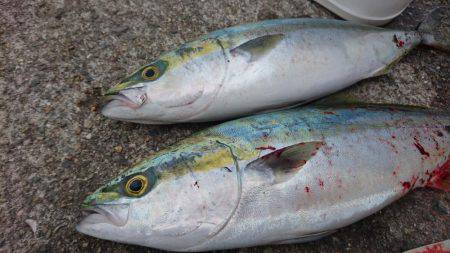 貸し切り爆釣！