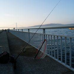 実は美味な外道