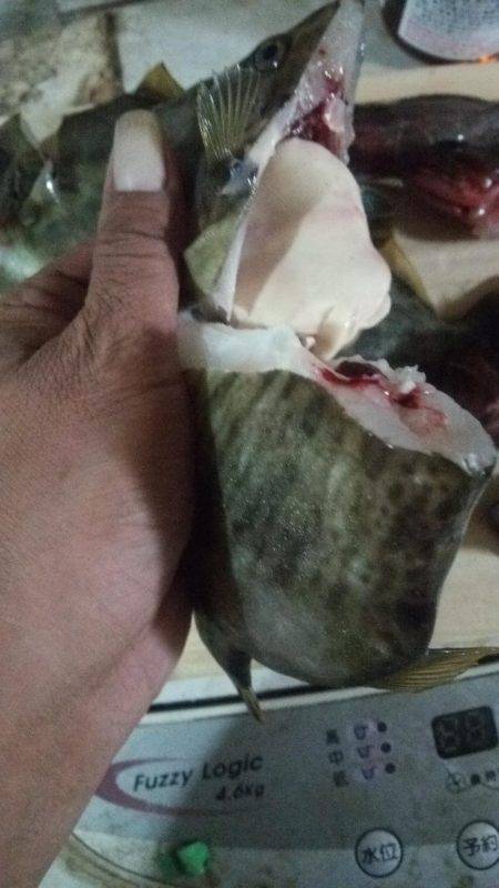 南淡路メガフロート大時化