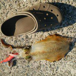 釣り人のマナーの悪さに…