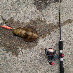 やる気はあるものの