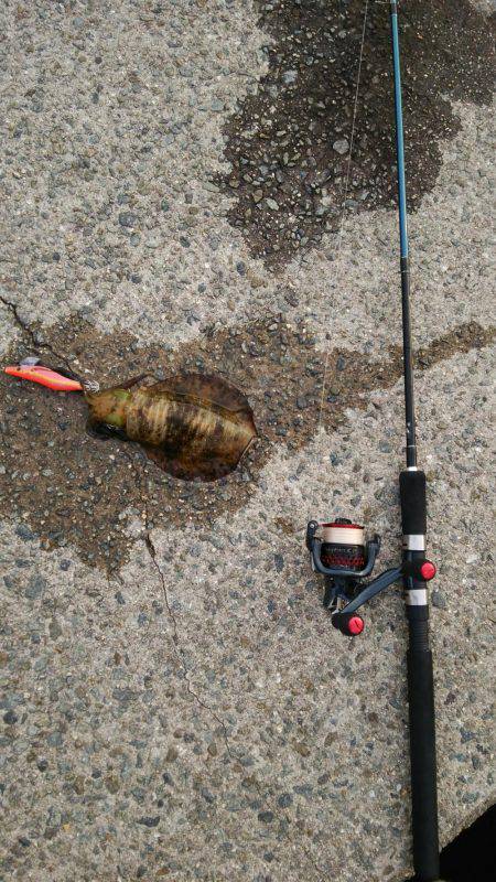 やる気はあるものの