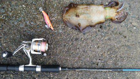 雨の中なんとか１杯