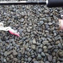 狙い通りには届かずも