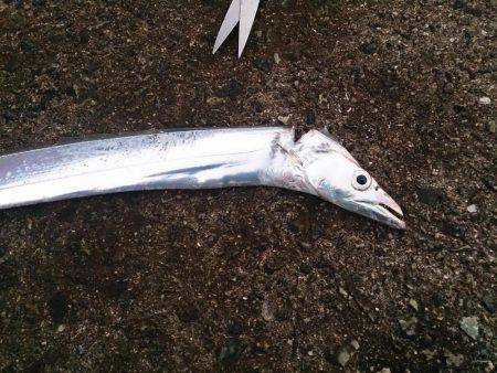 狙い通りには届かずも