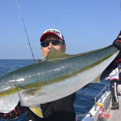 アルバトロス、朝から青物ラッシュ