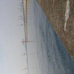 フッキングが課題…