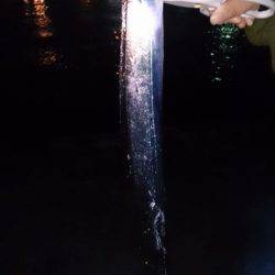 シブイ！タチウオ