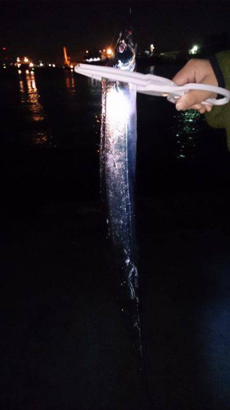 シブイ！タチウオ