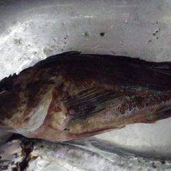 ドラゴンを求めて3