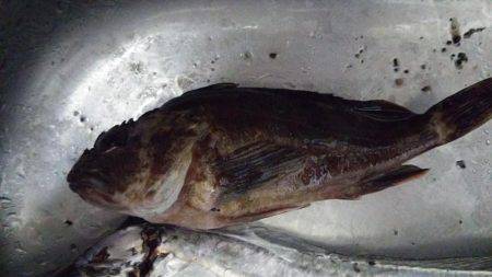 ドラゴンを求めて3