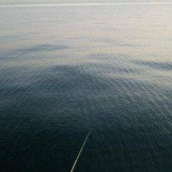 やっぱ引き釣りには勝てません(>_<)