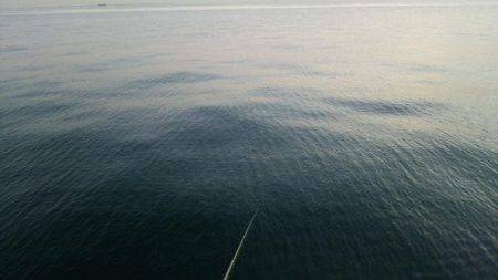 やっぱ引き釣りには勝てません(>_<)