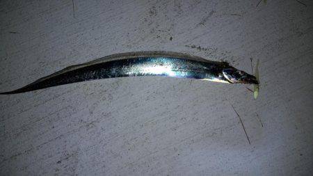 ハニースポット!?