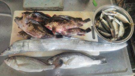 タチウオとガシラとアジとそのた