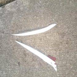 サーベルハンター