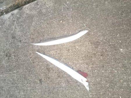 サーベルハンター