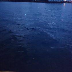 もう終わりかな