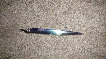 朝まずめアタリ多し