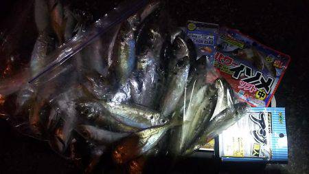 初心者とアジングへ