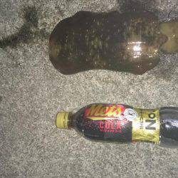 アオリイカ狙いで本日も行ってきました。