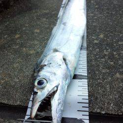 南港初ポイントへ