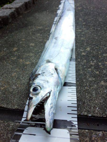 南港初ポイントへ