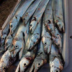 久々の「ツ抜け」…リベンジ完了