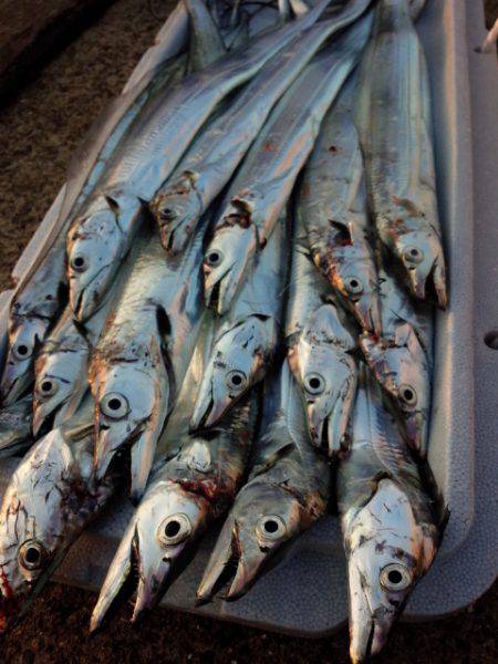 久々の「ツ抜け」…リベンジ完了