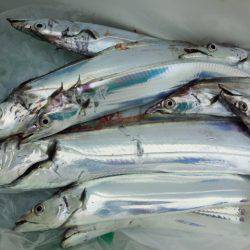 昨日とは全く異なる状況