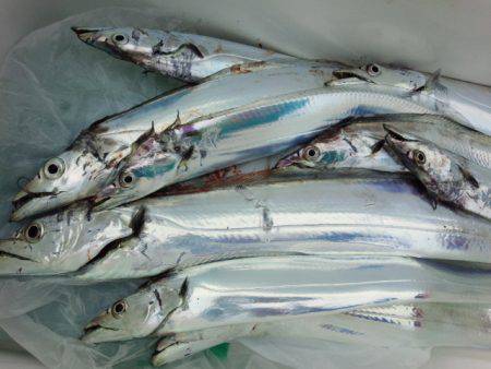 昨日とは全く異なる状況