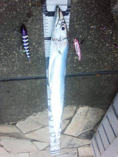 ドラゴン級バラシ後ドラゴンゲット、、、