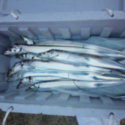 サイズダウンしました。